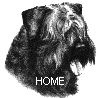 Bouvier-Site