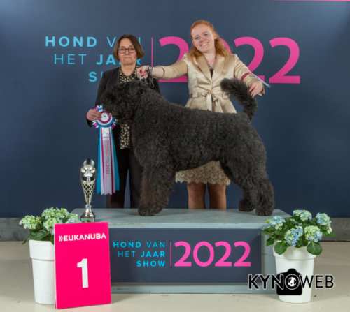 BOB: Qu One From The Dogsfarm (285)