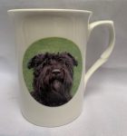 IMG_2959-2-scaled-300x312