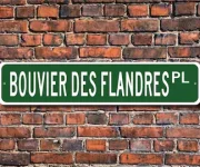 il_340x270.1309098615_iv6g