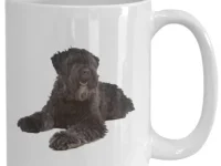 il_340x270.3420430504_fbzr